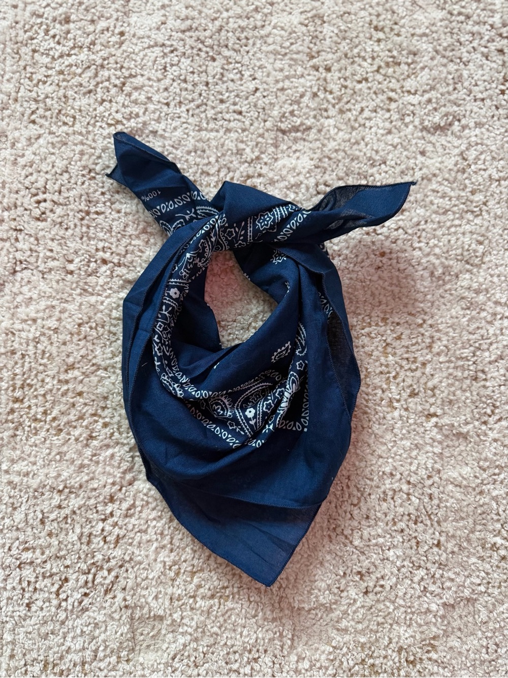 Target Navy Bandana Scarf with White Paisley Print